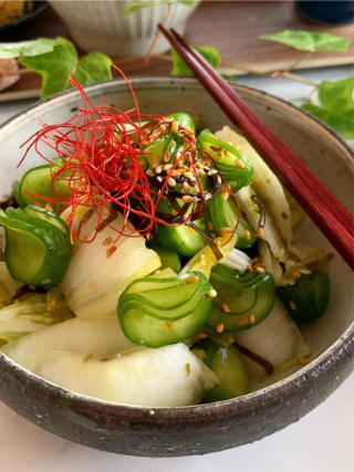 白菜ときゅうりの即席お漬物